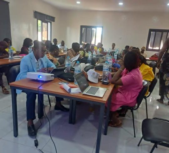 Cascade training session for the mapping of traditional practitioners, Guinea-Bissau, July 2026 – ICHESS