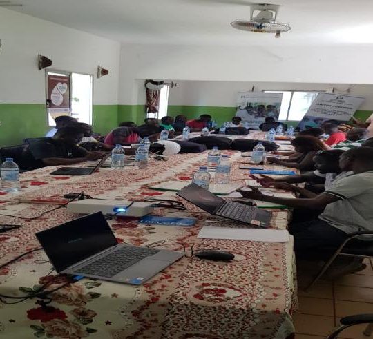 Cascade training session for the mapping of traditional practitioners, Guinea-Bissau, July 2026 – ICHESS