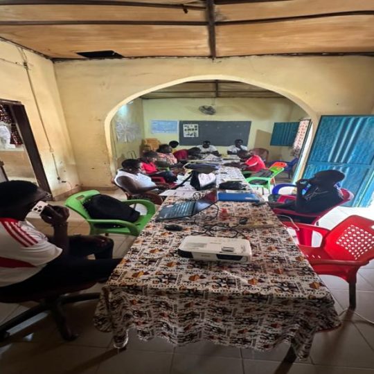 Cascade training session for the mapping of traditional practitioners, Guinea-Bissau, July 2026 – ICHESS