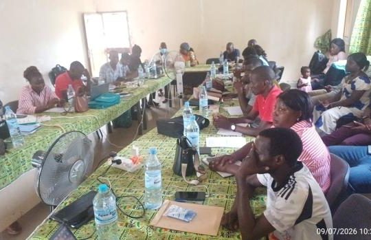 Cascade training session for the mapping of traditional practitioners, Guinea-Bissau, July 2026 – ICHESS